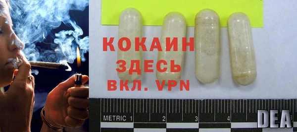 Альфа ПВП Бородино