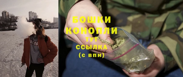Альфа ПВП Бородино
