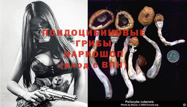 гашик Богородицк