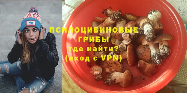 гашик Богородицк