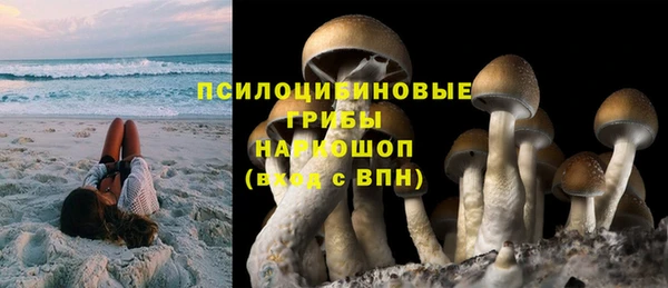 гидропоника Богданович