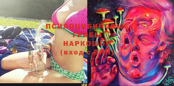 гидропоника Богданович